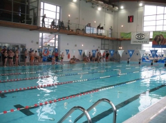 Pływanie - zawody powiatowe