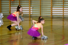 MISTRZOSTWA MAŁOPOLSKI CHEERLEADERS