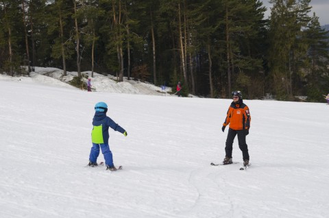 Narciarstwo Alpejskie - wyniki, galeria zdjęć