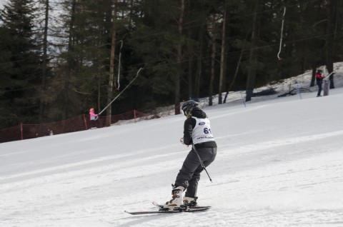 Narciarstwo Alpejskie - wyniki, galeria zdjęć