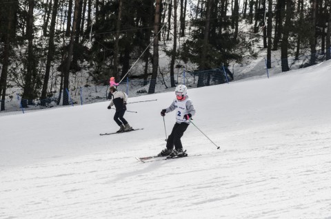 Narciarstwo Alpejskie - wyniki, galeria zdjęć