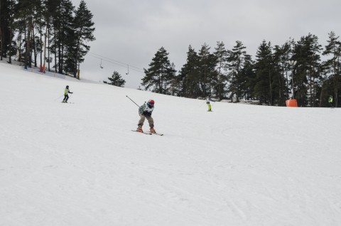 Narciarstwo Alpejskie - wyniki, galeria zdjęć