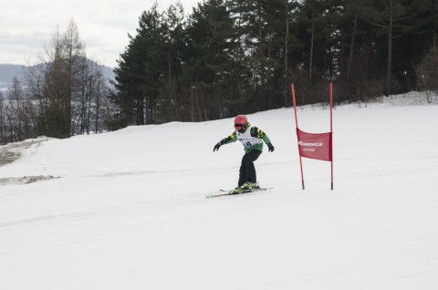 Narciarstwo Alpejskie - wyniki, galeria zdjęć