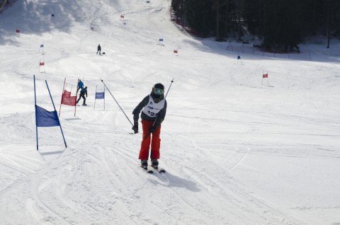 Narciarstwo Alpejskie - wyniki, galeria zdjęć