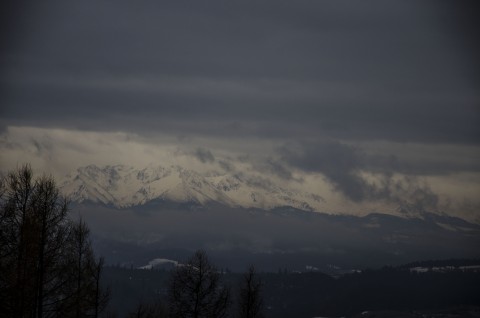 Mistrzostwa Powiatu Brzeskiego w Narciarstwie Alpejskim - Kluszkowce, 25.02.2020 r.