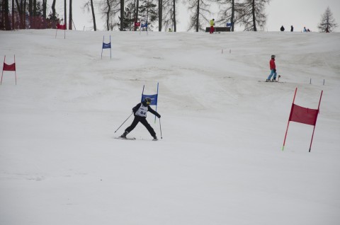 Mistrzostwa Powiatu Brzeskiego w Narciarstwie Alpejskim - Kluszkowce, 25.02.2020 r.