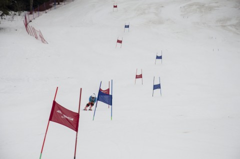 Mistrzostwa Powiatu Brzeskiego w Narciarstwie Alpejskim - Kluszkowce, 25.02.2020 r.