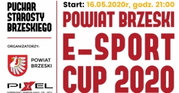 POWIAT BRZESKI E-SPORT CUP 2020